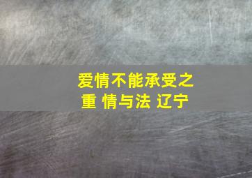 爱情不能承受之重 情与法 辽宁